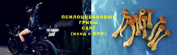 амф Абаза