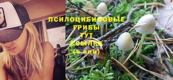 амф Абаза