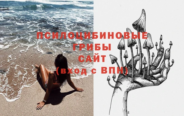 амф Абаза