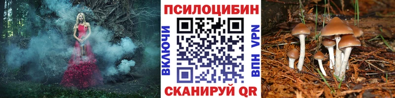 Псилоцибиновые грибы прущие грибы  Ядрин 